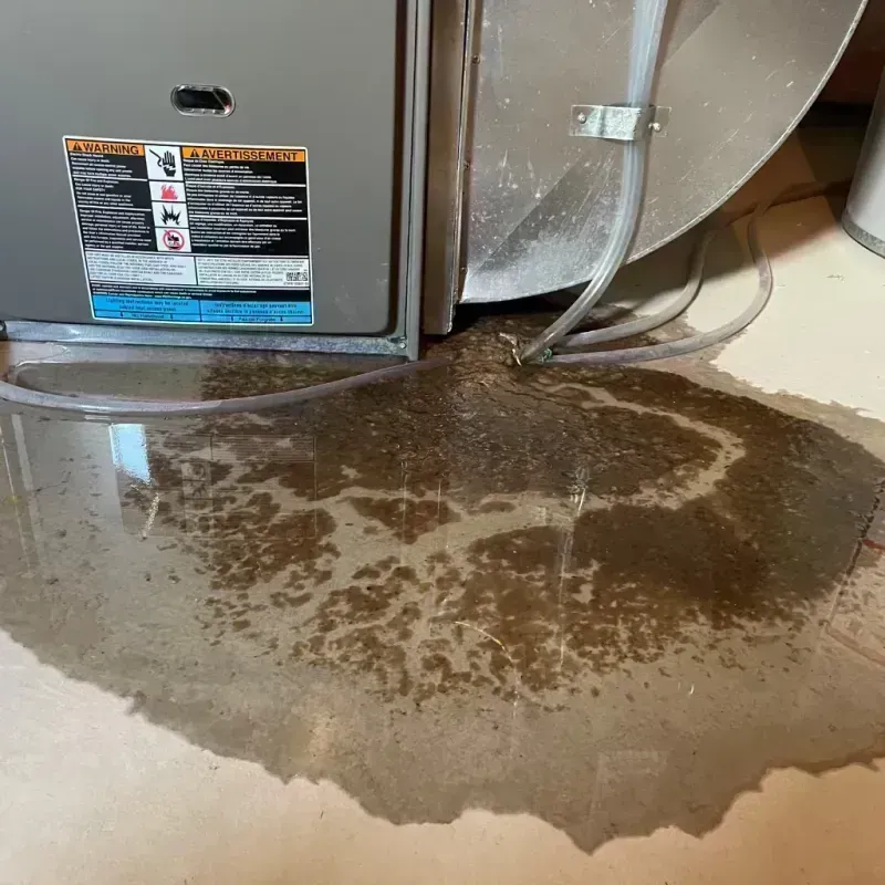 Appliance Leak Cleanup in Rock Hill, MO